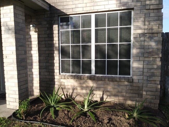 Livingroom windows