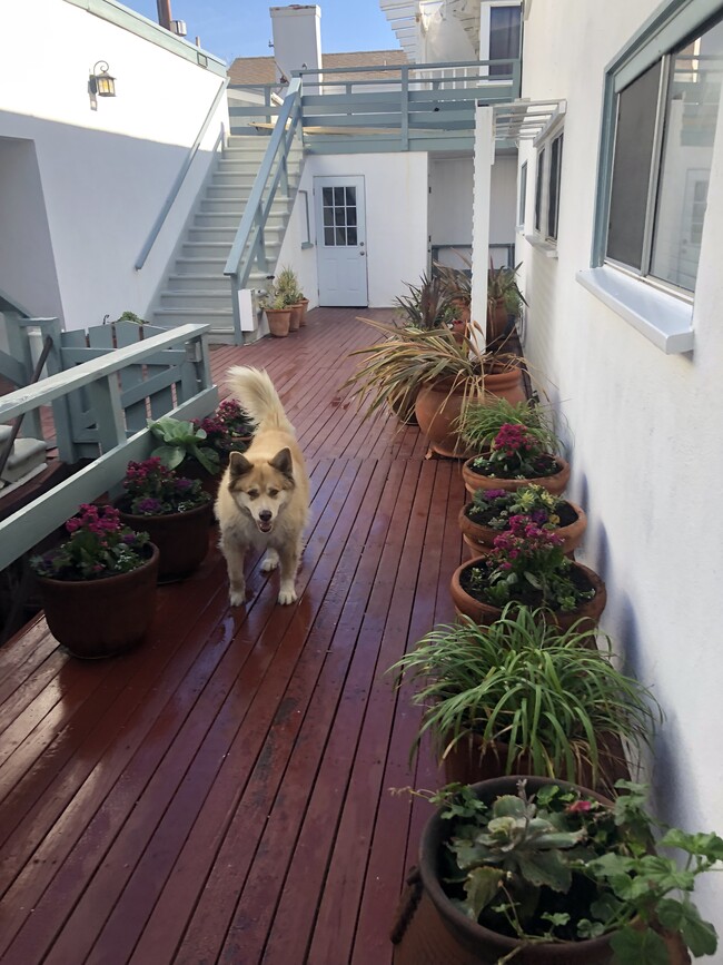 common deck area - 25410 Malibu Rd Apartments Unit 25414