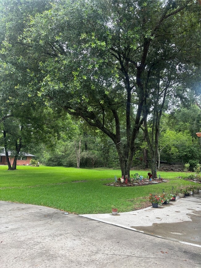 Photo - 3118 Timber Ln