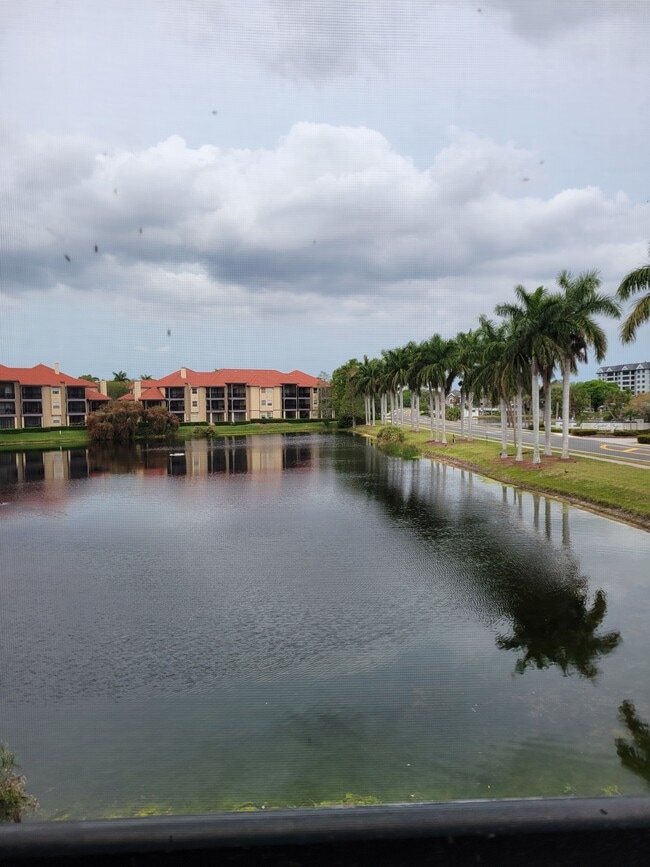 Photo - 2400 Feather Sound Dr Unidad 1126