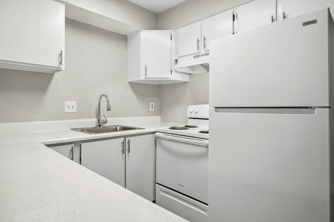 Photo - The Alexander