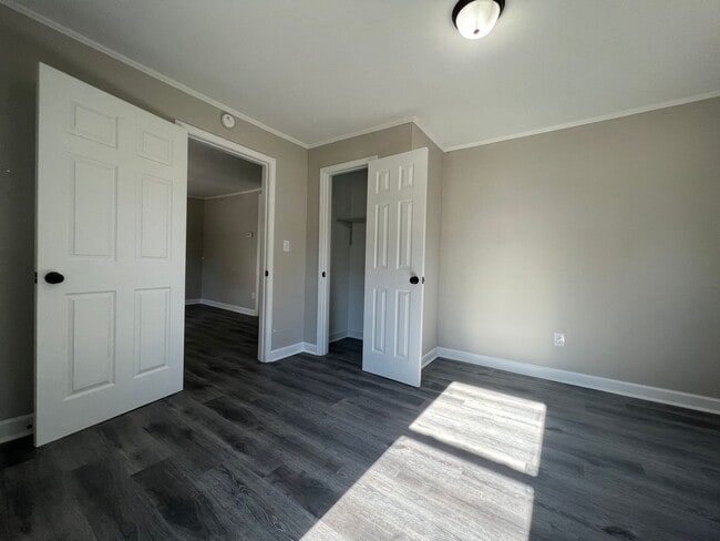 Photo - AVAILABLE TO SHOW!!!