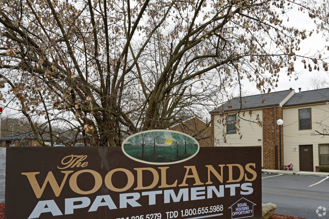 Photo - Woodlands Apartments