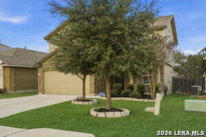 Photo - 15135 Longtailed Duck
