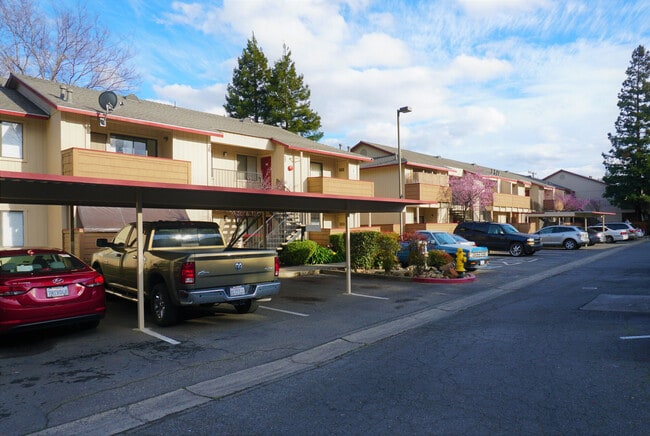 Plumwood Apartments