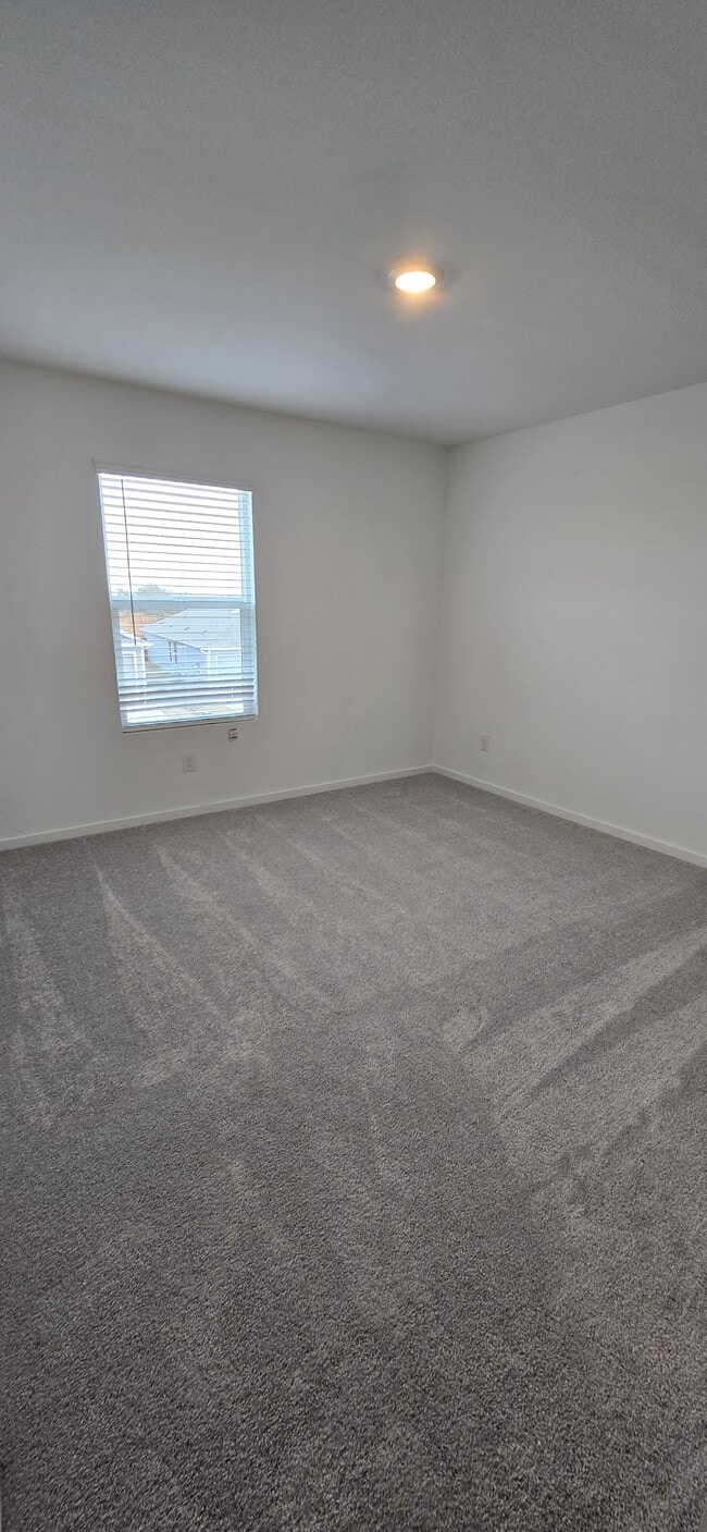 Photo - 3157 Burmese St