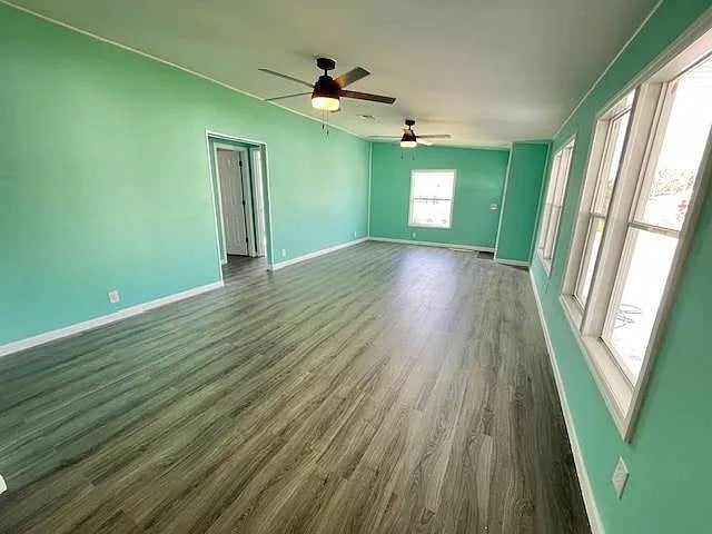 Photo - 29081 US Hwy 19 N