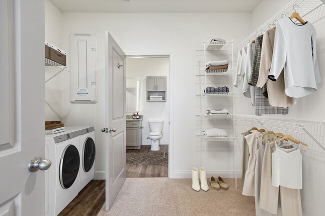 Photo - Comet Greensboro