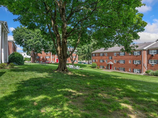 Society Hill at Lehigh Park