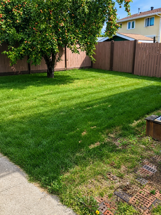 Photo - 116 Akins Dr