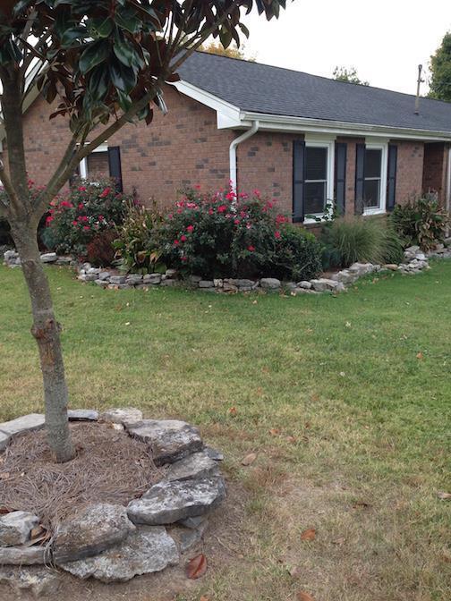 Building Photo - 8135 Moores Ln Rental