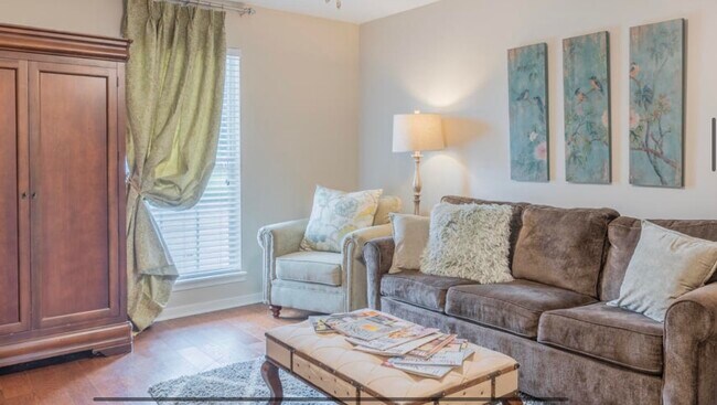 Living room - 1255 Louisville St Apartments