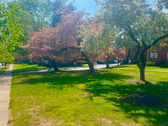 Brooklawn Gardens