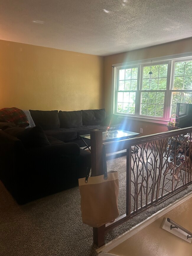 Photo - 730 Meadow Springs Ct
