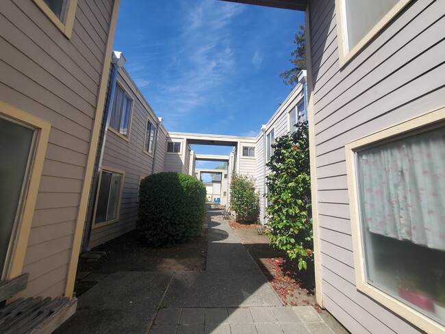 Courtyard - Kingwood Apartments