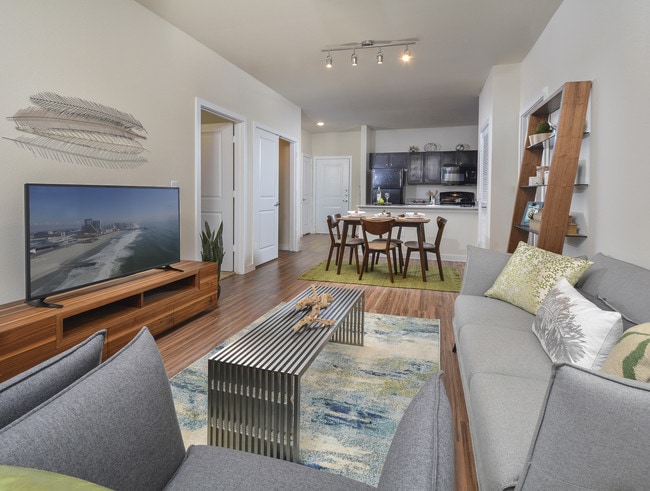 Photo - The Starling