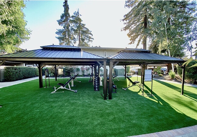 Outdoor Fitness Canopies