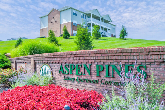 Aspen Pines - Aspen Pines Apartments