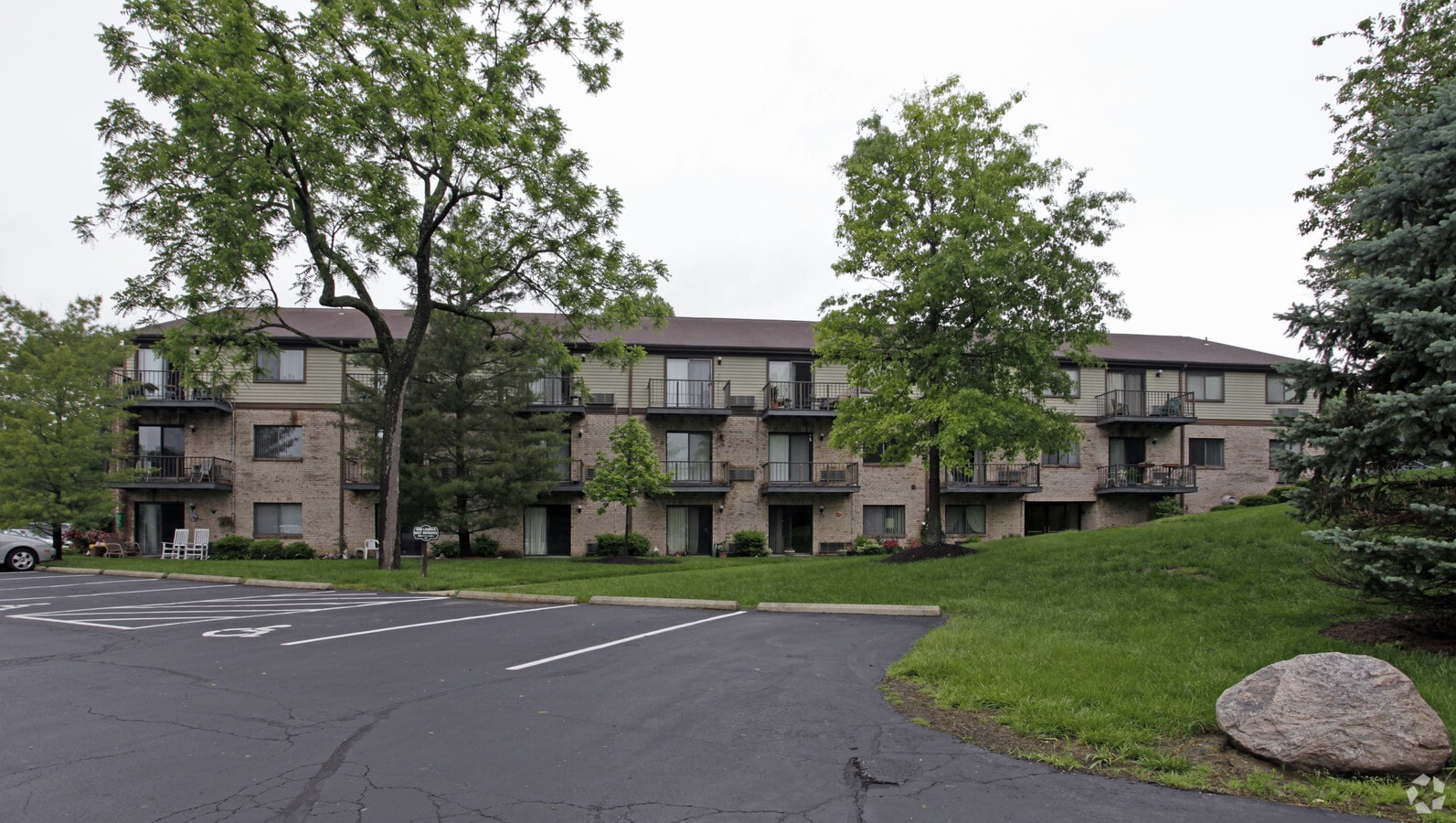 Photo - S E M Laurels