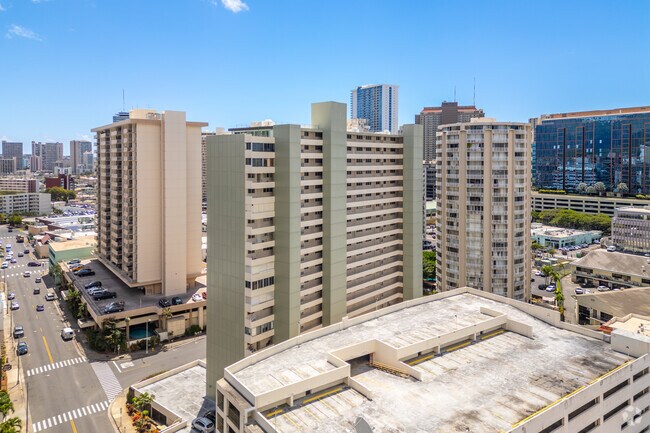 Photo - The Woodrose