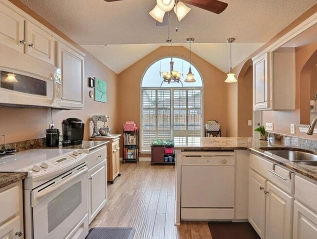 Photo - Beautiful Oasis