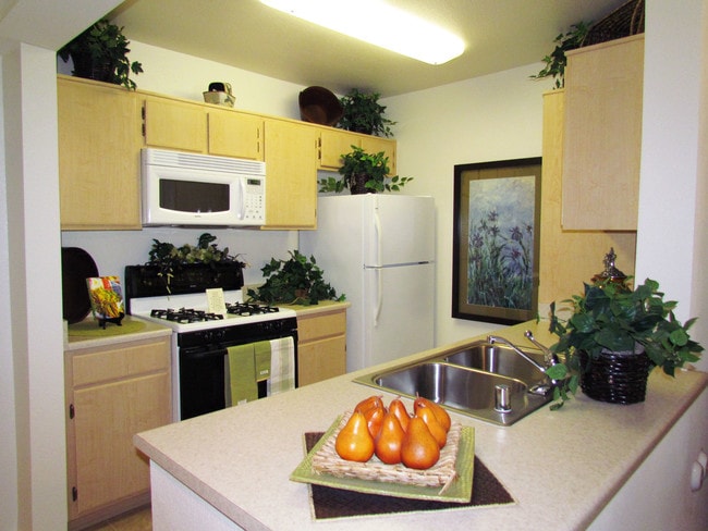 Building Photo - 55+ FountainGlen Stevenson Ranch Rental