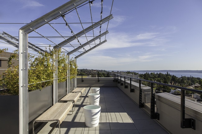 Rooftop Deck