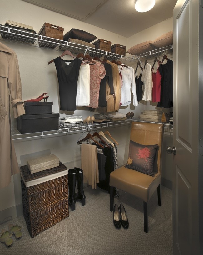 Walk-in closets with built-in shelves