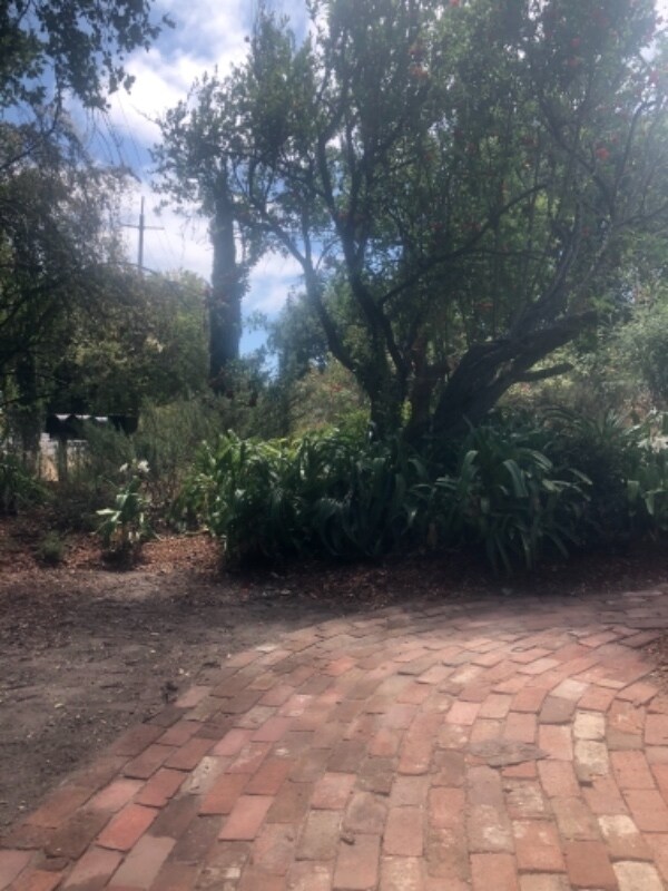 Photo - 4481 Petaluma Blvd N Unit A