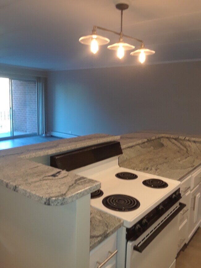 Photo - 18 E Old Willow Rd Unit 531N.dupe