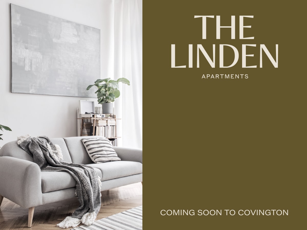 The Linden - The Linden