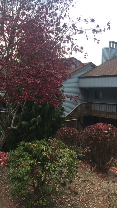 Photo - 87 Willow Rd (Waynesville, NC)