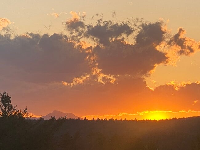 Sunset in Back Yard - 80 College St Unit Artful Lodging 1st Floor