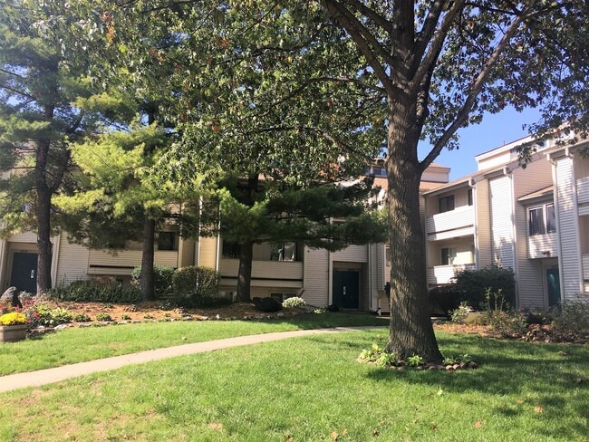 Photo - Remodeled condo available for July!