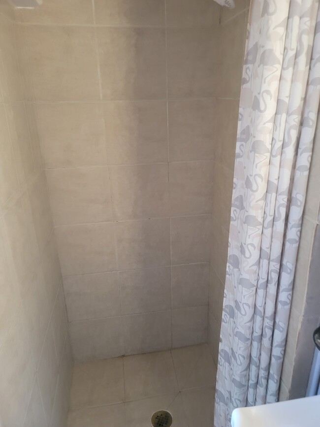 Shower - 43 Belmont Ave Apartamentos Unidad A