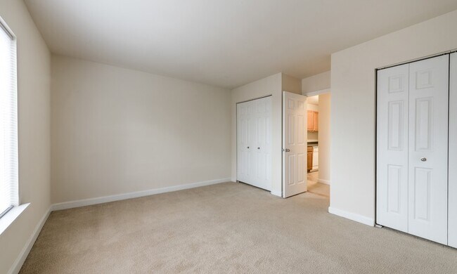 Avana Northlake