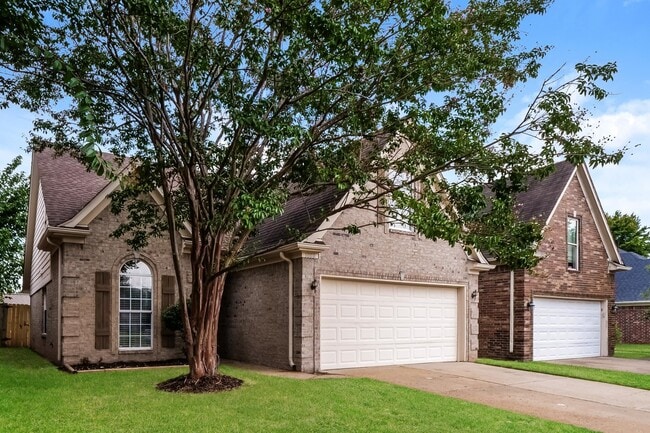 Photo - 1008 Leconte Gap St