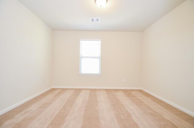 Photo - 16922 Sedum Grn