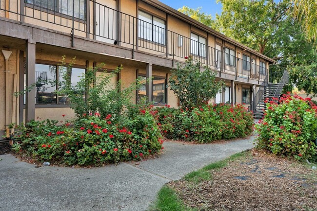 Photo - 2415 Olivera Rd Apartments Unit 14