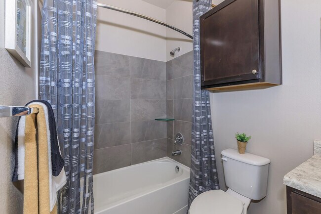 Vantage at McKinney Falls A1 Bathroom