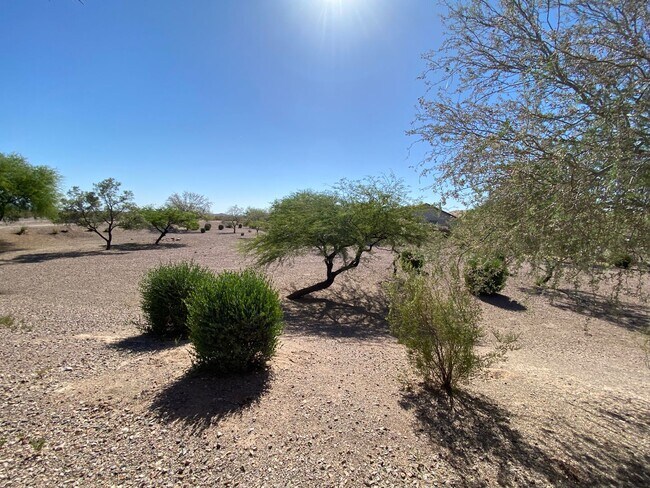 Photo - Anthem home coming soon!