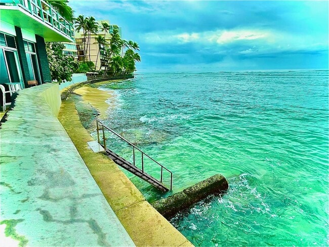 Photo - Diamond Head Ambassador - Available Now