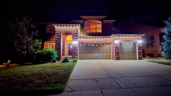 Holiday Lights