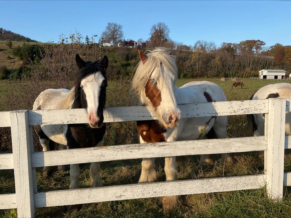 Photo - 330 Briar Manor