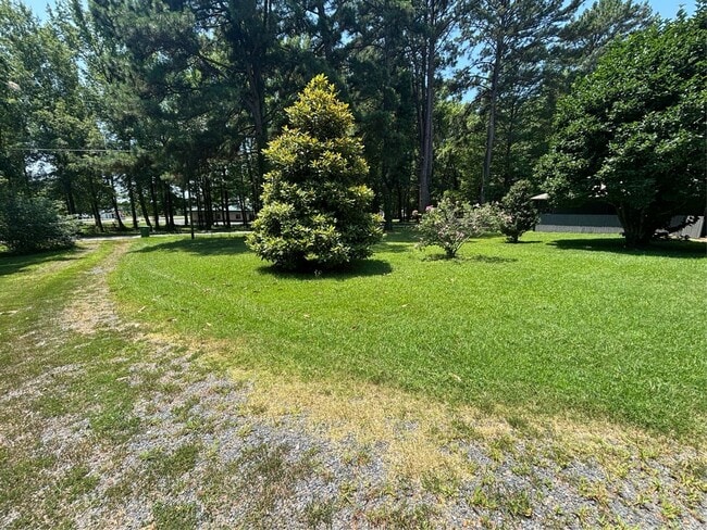 Photo - 4100 Driskill Dr