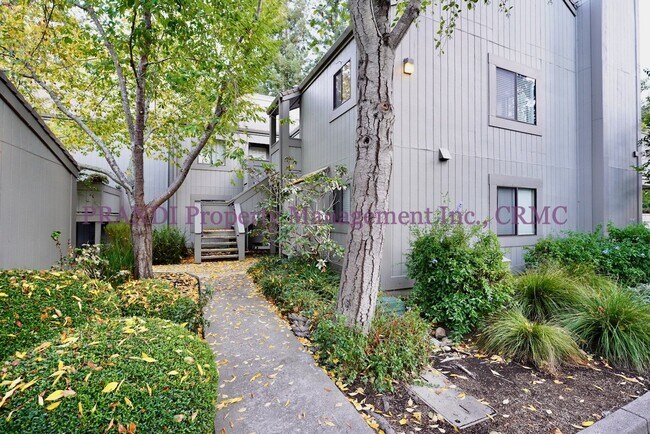 Pacheco Valley Condo, Freshly Remodeled Th... - Pacheco Valley Condo, Freshly Remodeled Th...