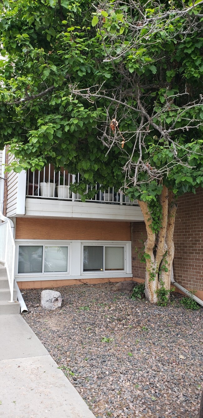 Building Photo - 451 Golden Cir Unit 112 - Bedroom 1 Rental