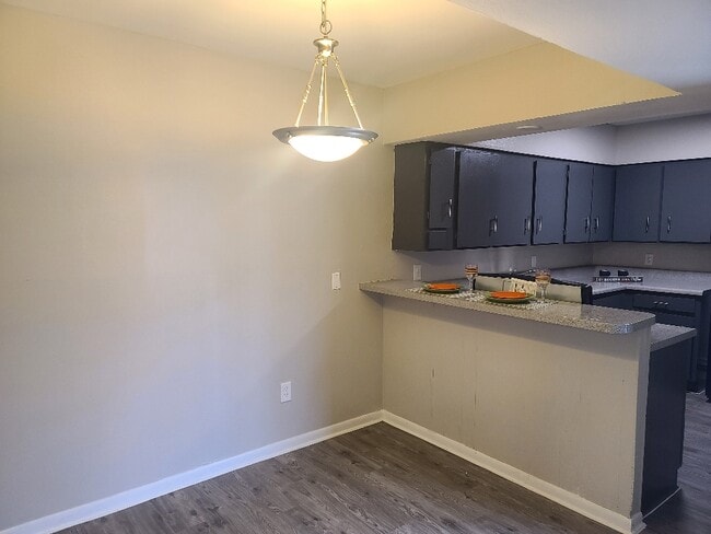 Photo - Bluebonnet Flats