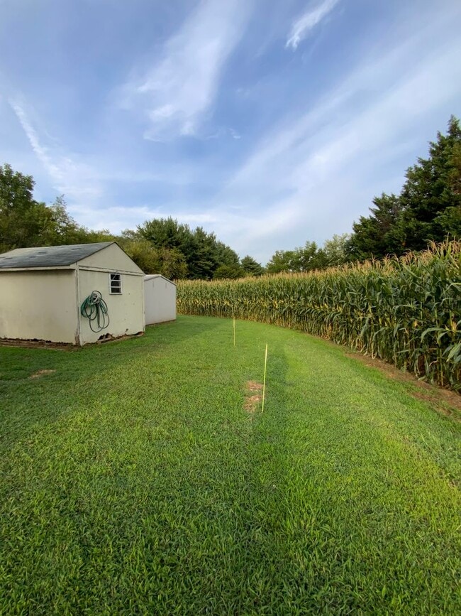 Photo - 19 Roberts Rd