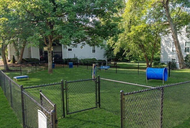 Pet-Friendly Apartments in Cincinnati